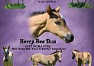 Kerry Bee Dun Quarter Horse Mare