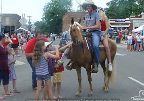 Missouri Fox Trotter - Horse for Sale in Marshfield, MO 65706 Missouri Fox Trotter - Horse for Sale in Marshfield, MO 65706