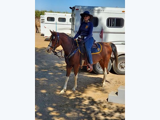 Sport, Trail, Police Trained