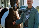 Rey Rey - Mare in Placer, OR Rey Rey - Mare in Placer, OR