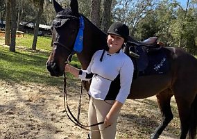 Thoroughbred (Thoroughbred, Mare) in Keystone, FL
