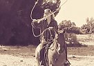 Duncan - Gelding in Gerber, CA Duncan - Gelding in Gerber, CA