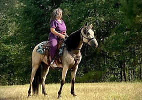 Tennessee Walking - Horse for Sale in Waskom, TX 75692
