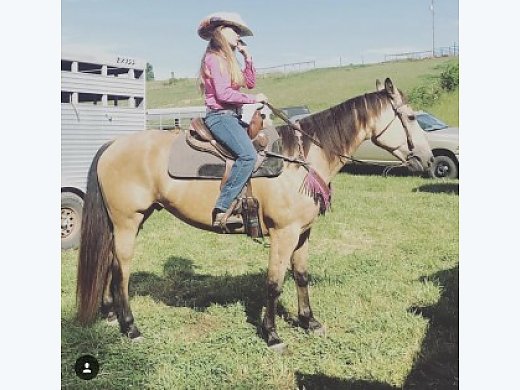 Beautiful Buckskin