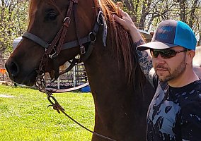 Arabian (Arabian, Gelding) in Skiatook, OK