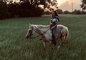 Quarter Horse (Quarter Horse, Mare) in Gonzales, TX
