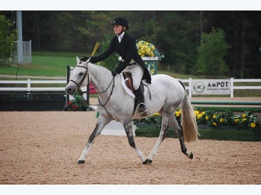Auto Large Pony Champion