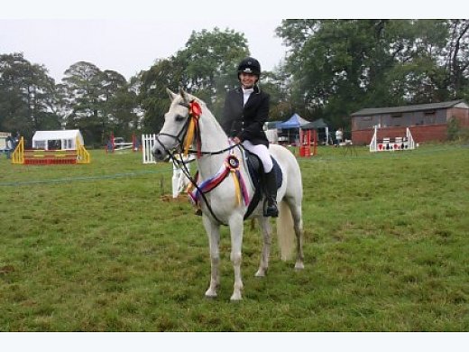 138cm Connemara Gelding 2001