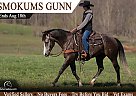 Quarter Horse - Horse for Sale in Bogard, MO 64622