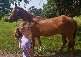 Mustang (Mustang, Mare) in Platteville, WI