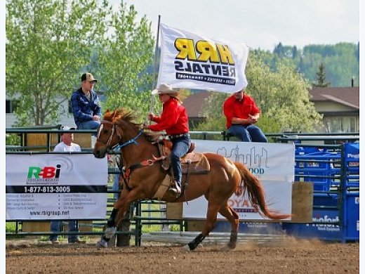 15Year Old Mare Movitvated To Sell