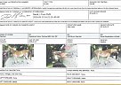 Raphael - Gelding in Lancaster, OH Raphael - Gelding in Lancaster, OH