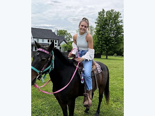Well Trained Quarterhorse