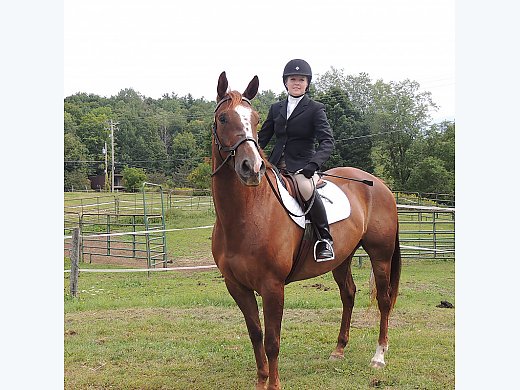 Big-Bodied Gelding