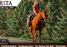 Quarter Horse - Horse for Sale in Lisbon, IA 52253