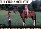 Missouri Fox Trotter - Horse for Sale in Monetta, SC 29105