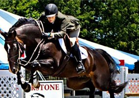 Warmblood (Warmblood, Mare) in Hogansville, GA