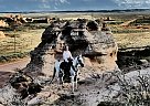 Azteca - Horse for Sale in Laporte, CO 80535 Azteca - Horse for Sale in Laporte, CO 80535