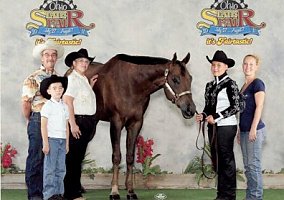 Quarter Horse (Quarter Horse, Gelding) in Waco, KY