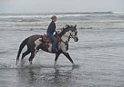- Mare in Mossyrock, WA - Mare in Mossyrock, WA