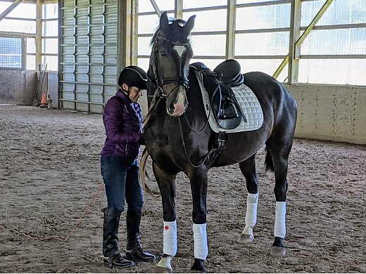 3yr old Athletic, Quiet, Pro