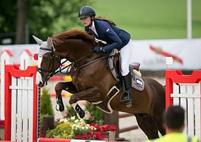 Superb Trakhener Gelding Trakehner Gelding