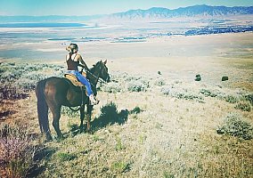 Quarter Horse (Quarter Horse, Mare) in Grantsville, UT