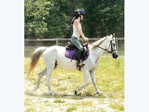 Natural Jumper Pony