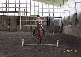 Arabian (Arabian, Mare) in Hastings, PA