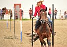 - Mare in Sioux Lookout, ON - Mare in Sioux Lookout, ON