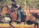 2d Barrel Mare 1d Potential