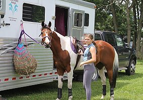 All Around Horse Winning Ways