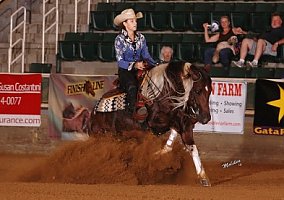 Paint (Paint, Stallion) in Broadway, NC
