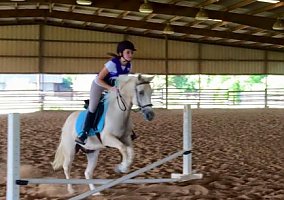 Quarter Pony (Quarter Pony, Gelding) in Katy, TX