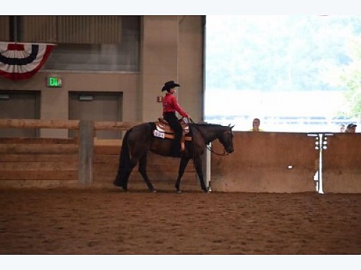 Great All Around Mare For Sale