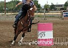 Mustang Mare for Sale in Ralston, Wyoming Mustang Mare for Sale in Ralston, Wyoming