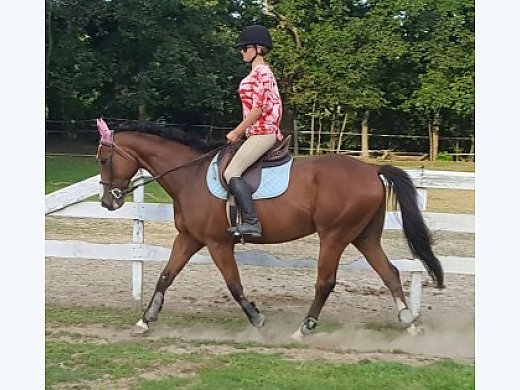 Spectacular OTTB For Lease