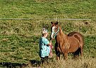 Cookie - Mare in Otis, OR Cookie - Mare in Otis, OR