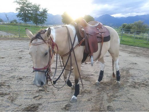 Solid Mare