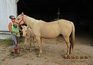 Maid - Mare in Fullerton, ND Maid - Mare in Fullerton, ND