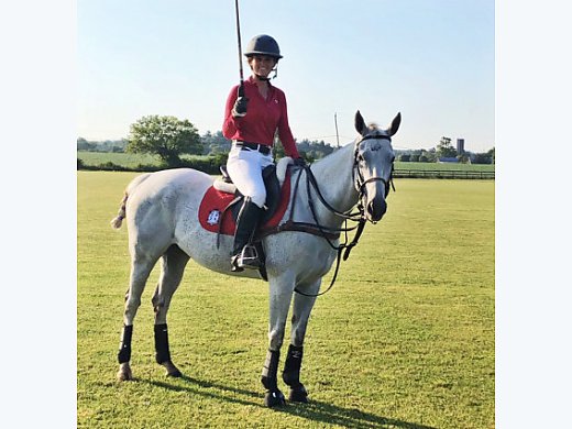 Polo Mare for Sale