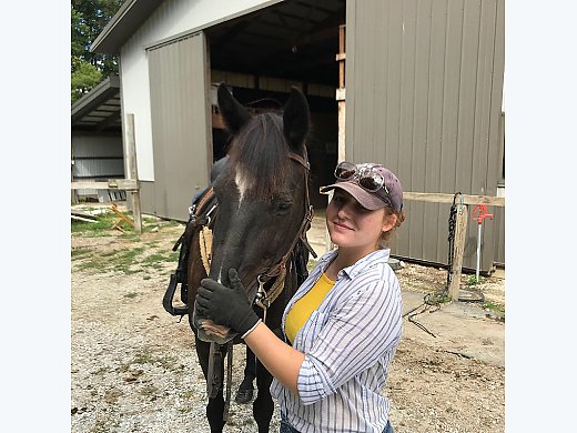 Tennessee Walker-- Sold