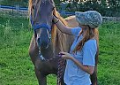Mocha - Mare in Adena, OH Mocha - Mare in Adena, OH