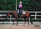 Kid Broke Western Pleasure, Spee... Quarter Horse Mare