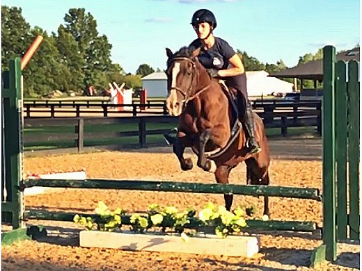 All Around Pony