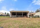 TBD - Gelding in New Baltimore, VA TBD - Gelding in New Baltimore, VA