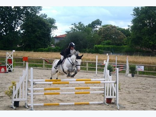 The Perfect Jumper