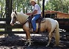 Ride em' Cowboy! Cowboy