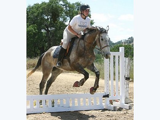 Beautiful Grey Jumper TB