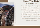 Quarter Horse - Horse for Sale in Beaverton, AL 35544 Quarter Horse - Horse for Sale in Beaverton, AL 35544